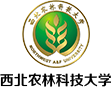 非凡国际·(中国游)体育官方网站